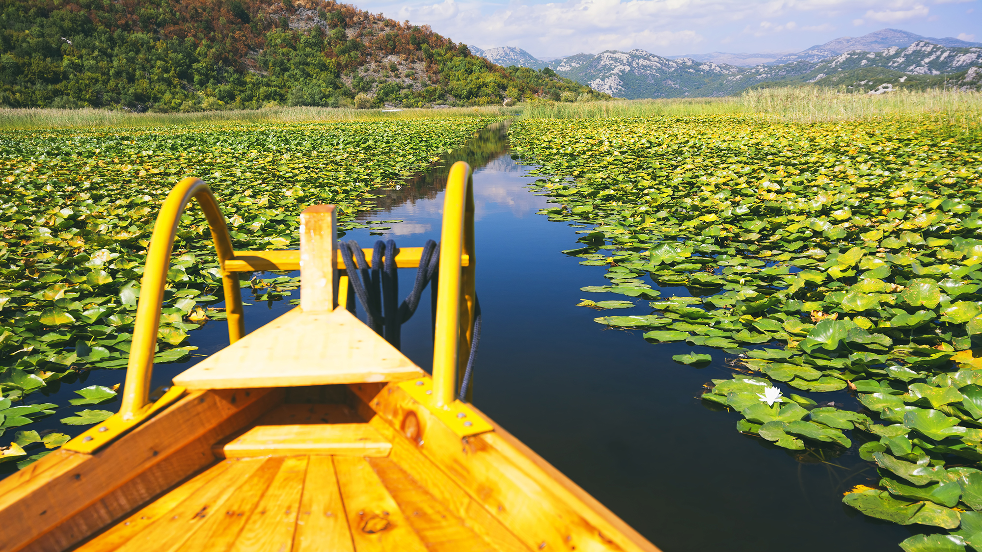 Lake trip among water lilies and mountains on a wooden boat (Skadar Lake National Park, Montenegro)