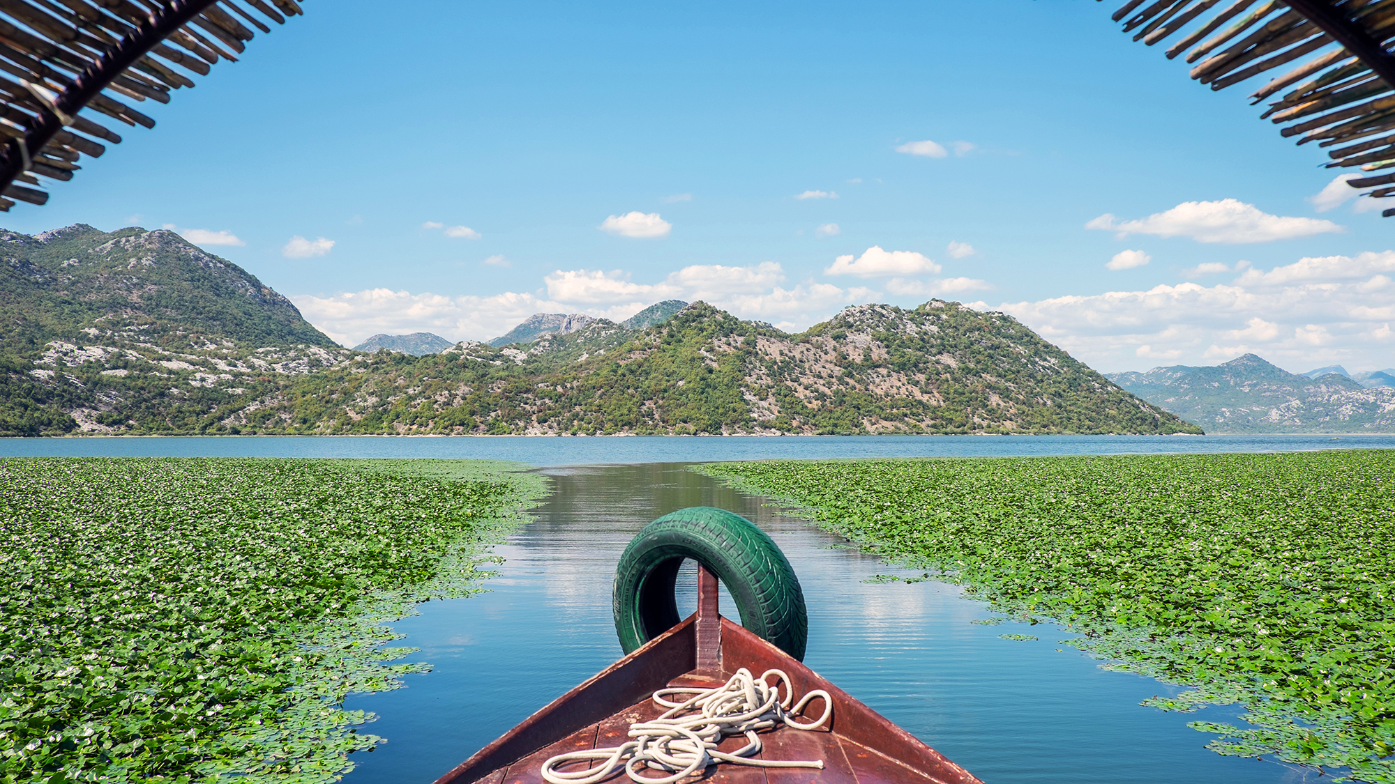 Boating on the beautiful lake. Lake Skadar National Park, Montenegro.